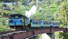 Coimbatore - Ooty - Munnar - Coimbatore
